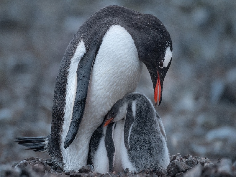 试管解冻坏了（要男宝试管）